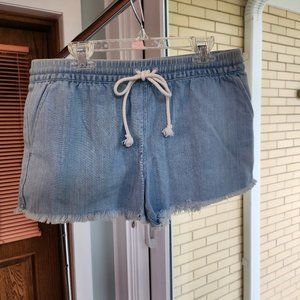 Light Blue Aerie Shorts